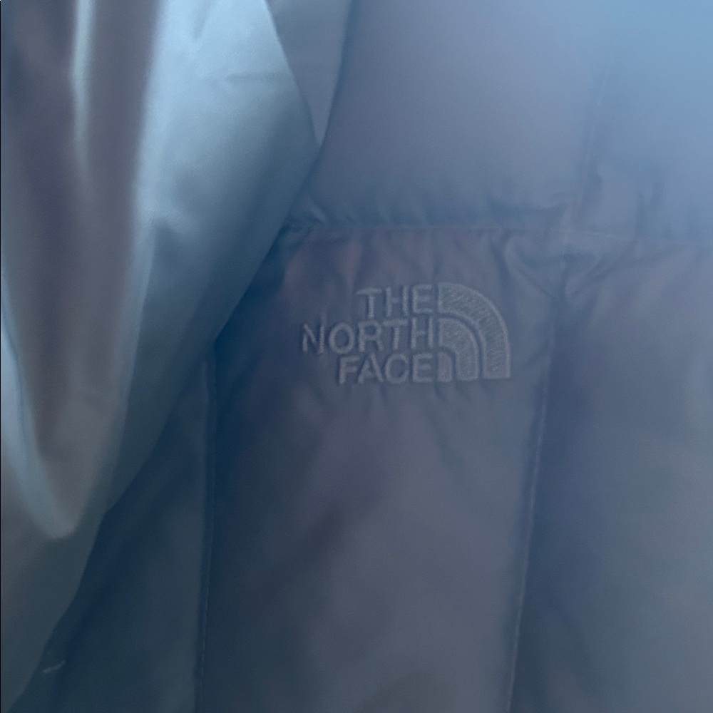 The North Face Charcoal Gray Puffer Coat - Picture 7 of 10